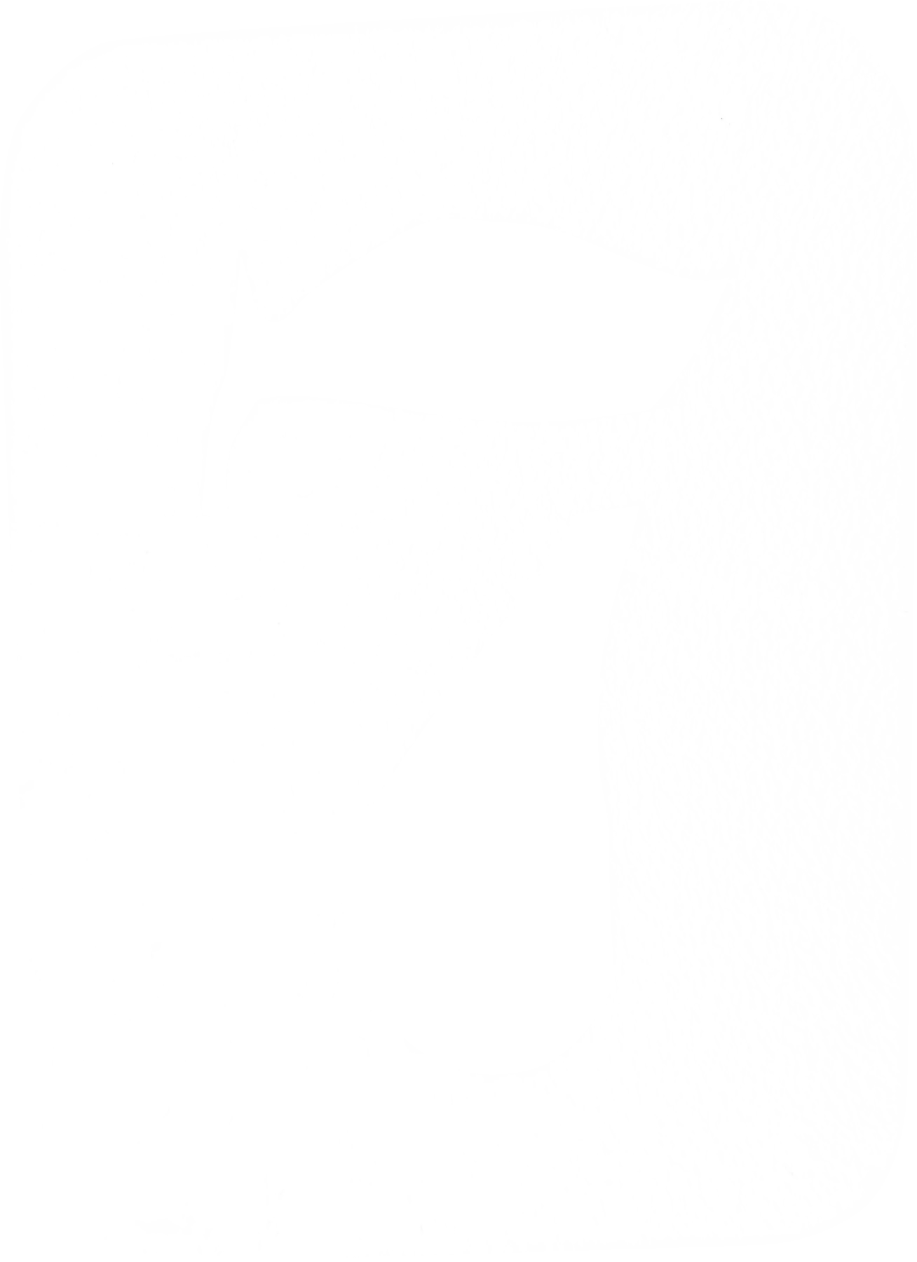 Pascal Seven Logo