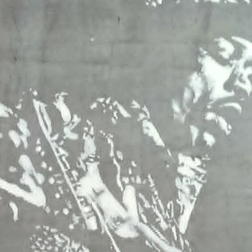 Hendrix (Gris) – Image 3