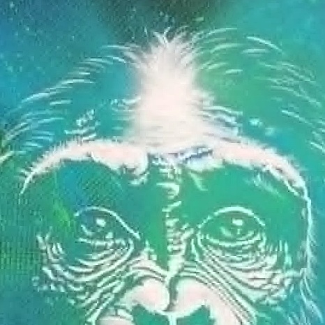 Singe (Bleu) – Image 3