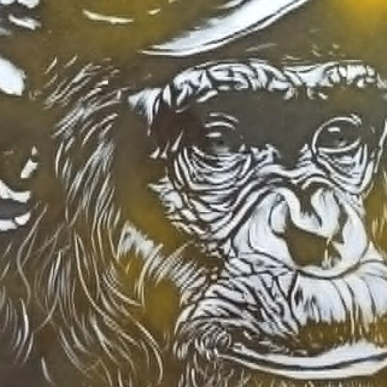 Singe (Casquette) – Image 4