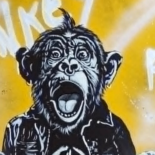 Singe Punk – Image 3