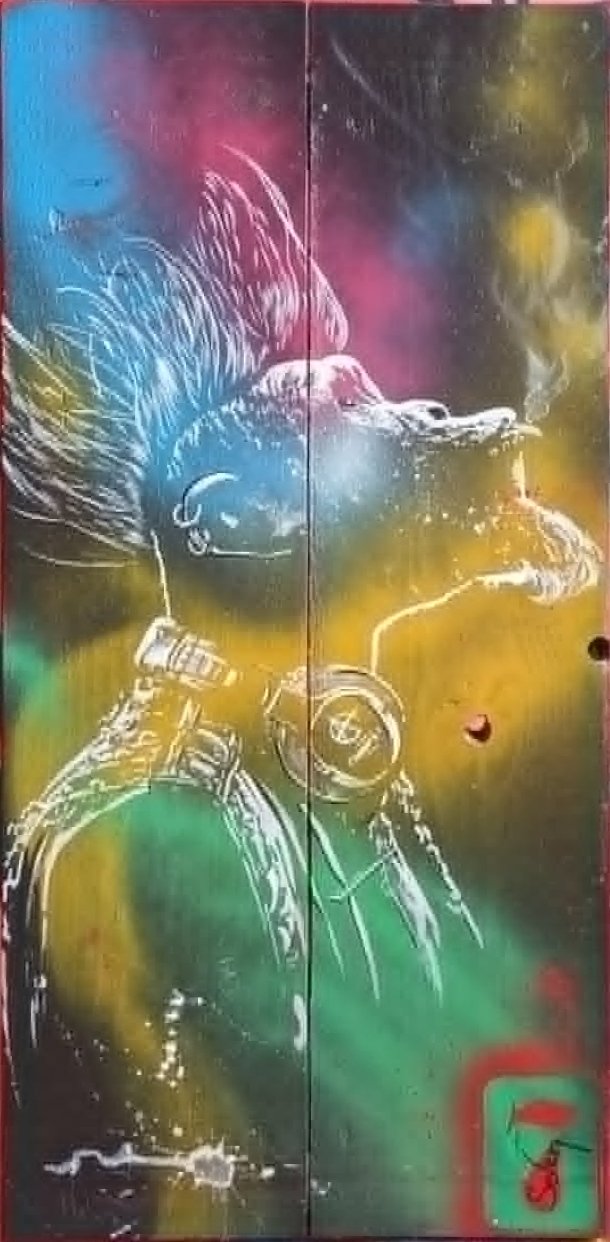 Singe Punk (Planches)